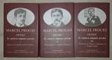 Marcel Proust - &Icirc;n căutarea timpului pierdut vol. I-III (Academia Rom&acirc;nă 2011)