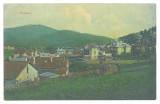 4650 - PREDEAL, Brasov, Panorama, Romania - old postcard - unused