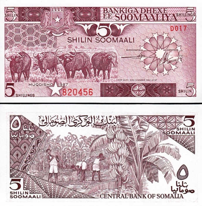 !!! SOMALIA - 5 SHILIN 1987 - P 31 c - UNC