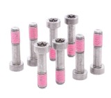 Set surub volanta Luk 411011210