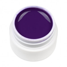 Gel UV Color ENS PRO #008 - Sugar Plum foto