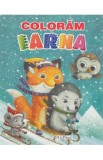 Coloram iarna, Autor Anonim