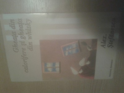 Alex Stefanescu -Gheata din calorifere gheata din whisky -Jurnal politic 1990-95 foto