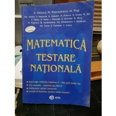 Matematica testare nationala - A. Ghioca