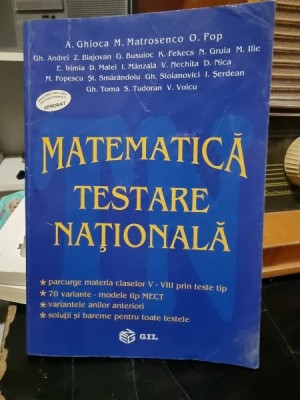 Matematica testare nationala - A. Ghioca foto
