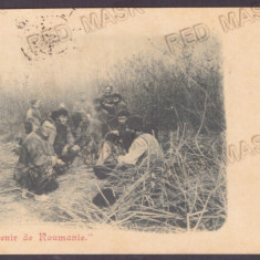 4829 - GALATI, Fishermen, Litho, Romania - 1898