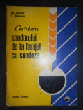 Gheorghe Costache - Cartea sondorului de la forajul cu sondeze