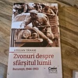 Zvonuri despre sfarsitul lumii - Stelian Tanase