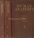 Cumpara ieftin Human Anatomy: M. Prives, Lysenkov, Bushkovich, 2 Vol, Engleza, Medicina, 1985, Moscova