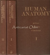 Human Anatomy - M. Prives, N. Lysenkov, V. Bushkovich