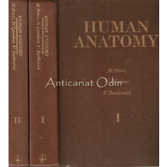 Human Anatomy - M. Prives, N. Lysenkov, V. Bushkovich