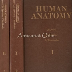 Human Anatomy - M. Prives, N. Lysenkov, V. Bushkovich