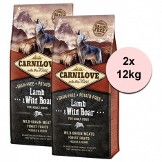 CARNILOVE Lamb &amp; Wild Boar Adult 2 x 12 kg