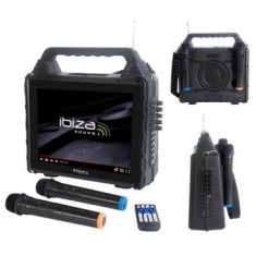 Set portabil karaoke cu ecran incorporat 14.1&quot; si 2 microfoane wireless