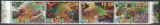 Nevis 2007 - Păsări - Peștele Papagal Curcubeu, Staif, MNH, Nestampilat