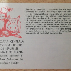 M3 C31 1 - 1981 - Calendar de buzunar - Asociatia crescatorilor de iepuri