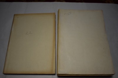 lot 101 numere colligat revista 22 1993-1995 plus suplimente Grupul pentru Dialog Social foto