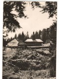 CPI B13669 CARTE POSTALA - PEISAJ LA SCHITUL SIHLA, JUD. NEAMT, RPR, Necirculata, Fotografie