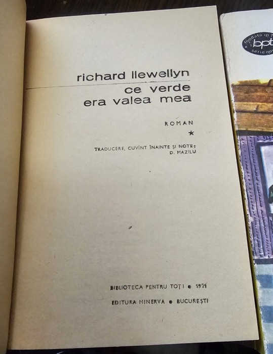 Ce verde era valea mea