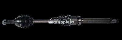 Planetara FORD FOCUS Limuzina (DFW) (1999 - 2007) RINGER 1131006036 foto