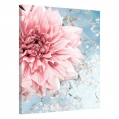 Tablou Canvas, Tablofy, Spring Blossom, Printat Digital, 50 &times; 70 cm