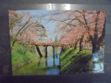 JAPONIA - CASTELUL HIROSAKI CU PODUL PESTE RAU PRIMAVARA - CIRCULATA, SCRISA -