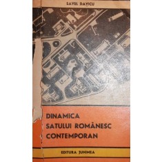 DINAMICA SATULUI ROMANESC CONTEMPORAN