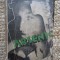 SERGIU DAN - ARSENIC - Prima Editie 1934 CU DEDICATIE SI AUTOGRAF PENTRU MIHAIL SEBASTIAN