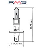 Bec far halogen 12V 55W H1 omologat, Oem