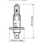 Bec far halogen 12V 55W H1 omologat