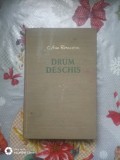 Drum deschis-Alena Bernaskova