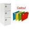 CLASIFICATOR METALIC CU 3 SERTARE X272+CADOU!!! (10 Dosare suspendabile Bantex)