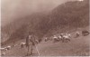AMS % - ILUSTRATA CIOBAN CU OILE - NECIRCULATA, ED. CARTEA ROM,ANEASCA, Fotografie