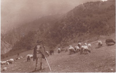 AMS % - ILUSTRATA CIOBAN CU OILE - NECIRCULATA, ED. CARTEA ROM,ANEASCA foto