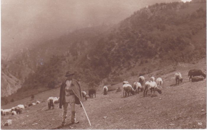 AMS % - ILUSTRATA CIOBAN CU OILE - NECIRCULATA, ED. CARTEA ROM,ANEASCA