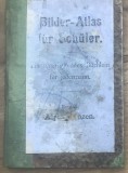 CRT11DE Atlas Vechi Plante Alpine Germana / Vintage German Botany Book - Bilder-Atlas fur Schuler Band X Alpenpflanzen Colectie