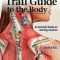 Trail Guide to the Body Student Workbook