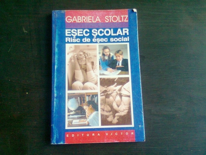 ESEC SCOLAR. RISC DE ESEC SOCIAL - GABRIELA STOLTZ