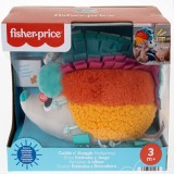 FISHER PRICE ARICIUL CU ACTIVITATI SENZORIALE, Mattel