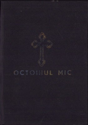 819SPN Octoihul mic 1991 foto