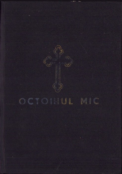 819SPN Octoihul mic 1991