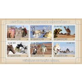 MOZAMBIC 2009 ANIMALE FOLOSITE IN TRANSPORT