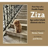 Ziza - Egy uszk&aacute;r k&ouml;ly&ouml;k &eacute;let&eacute;nek első &eacute;ve - R&eacute;v&eacute;sz Tam&aacute;s-Joel Revesz