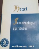 FENOMENOLOGIA SPIRITULUI