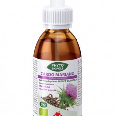 Extract BIO de armurariu, 50ml cu picurator