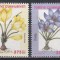 Turcia 2000 - Flori - Crocusuri, RARE, MNH