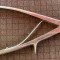 Instrument chirurgical,forceps intervenții craniene