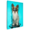 Tablou caine rasa Papillon Tablou canvas pe panza CU RAMA 40x60 cm
