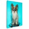 Tablou caine rasa Papillon Tablou canvas pe panza CU RAMA 40x60 cm