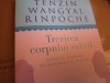 TREZIREA CORPULUI SUBTIL- EX. TIBETANE DE RESPIRAȚIE ȘI MIȘCARE T. W. RINPOCHE